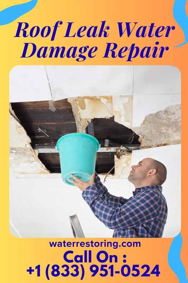 Roof Leak Water Damage Repair in World Golf Village, FL